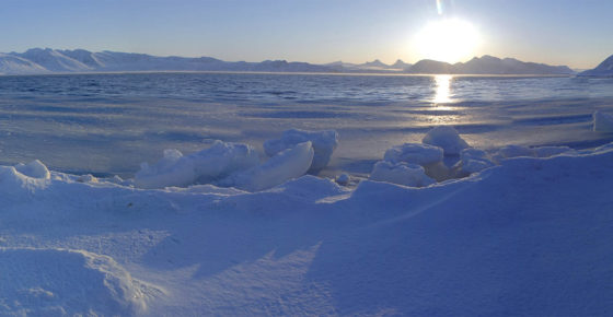 Panoramic of fjord