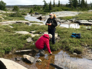 Anne Jungblut sampling cyanobacteria and water samples in Cambridge Bay