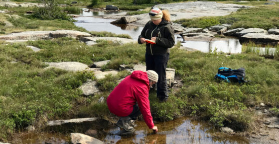 Anne Jungblut sampling cyanobacteria and water samples in Cambridge Bay