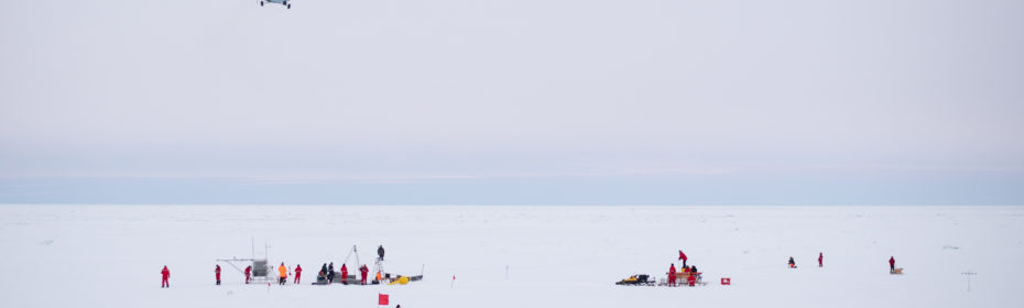 scientists doing fieldwork