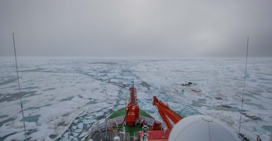 Polarstern at the ice floe