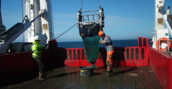Scientists on a Changing Arctic Ocean cruise