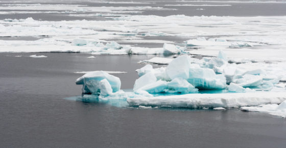 Arctic sea ice taken during a CAO science cruise