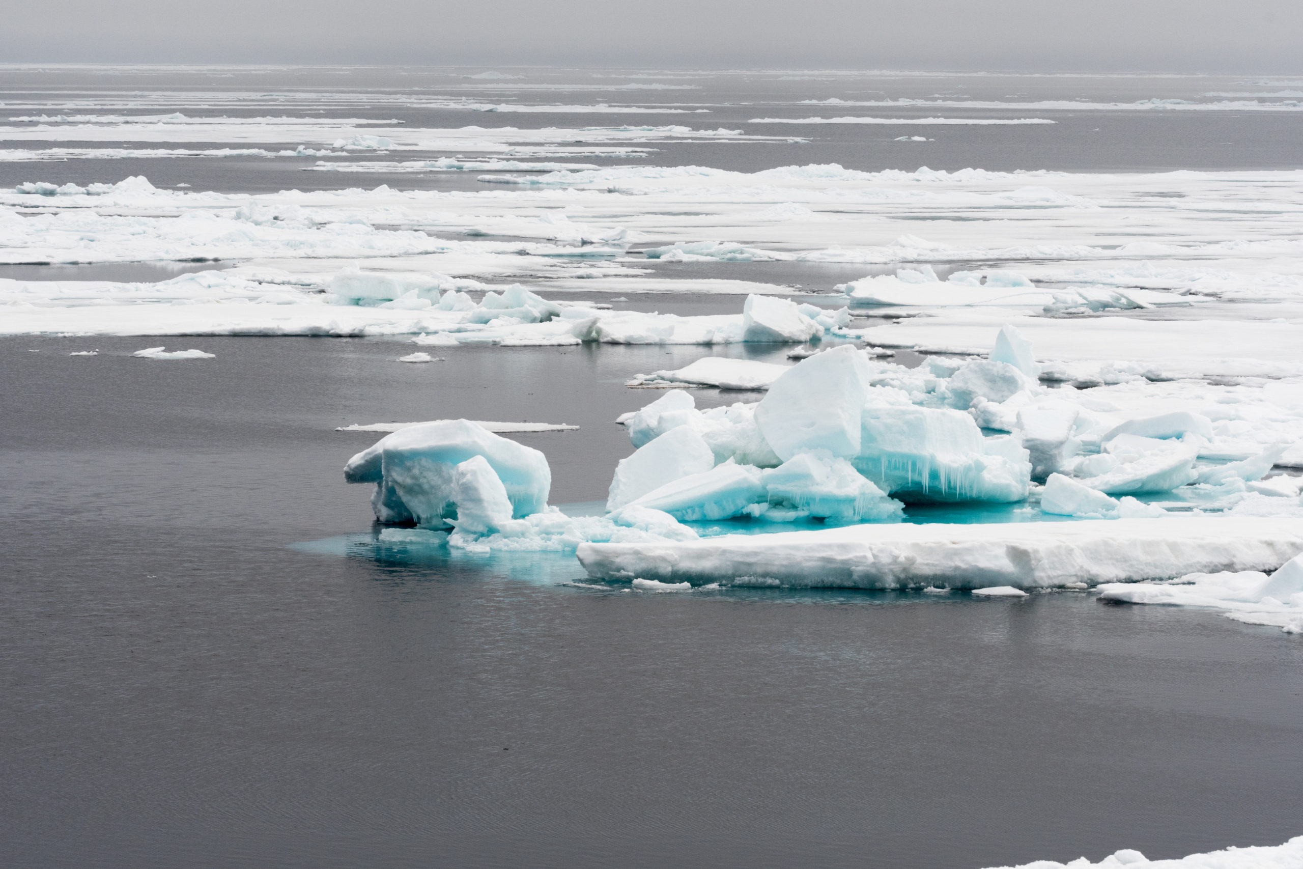 Arctic sea ice taken during a CAO science cruise