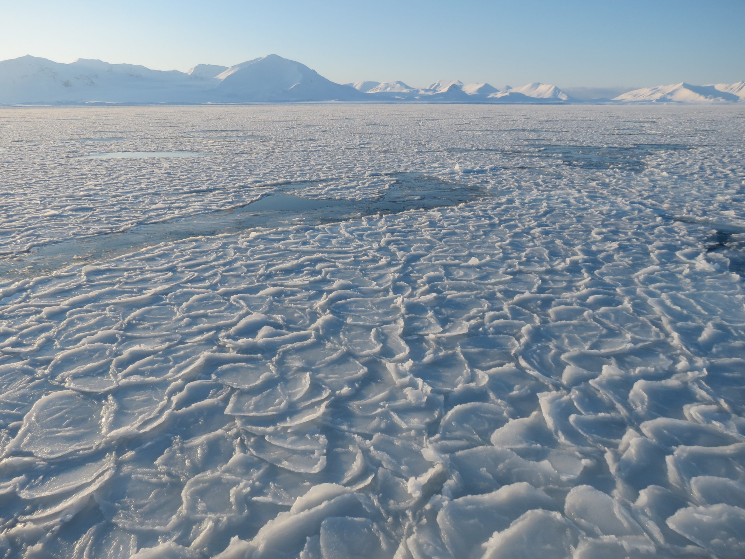 View from the MS Farm of Prins Karls Forland and sea ice on the sound of Forlandsundet.